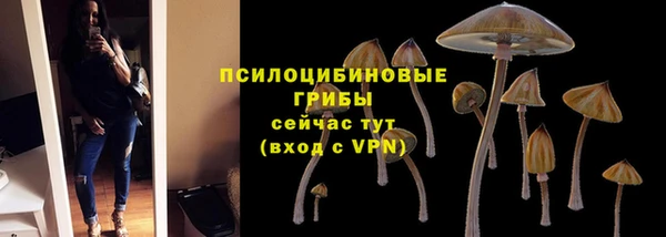 гашик Беломорск