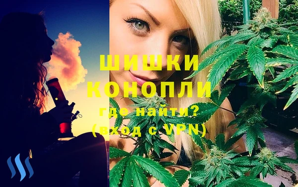 гашик Беломорск